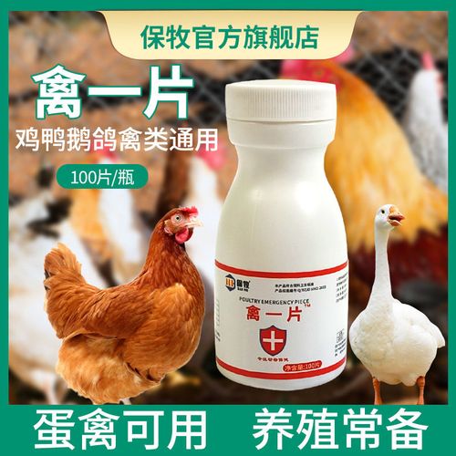 禽一片 鸡鸭鹅鸽家禽养殖常备正品产品