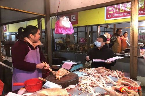 茶陵县全力开展高致病性禽流感等重大动物疫病防控专项行动 筑牢家禽养殖安全防线