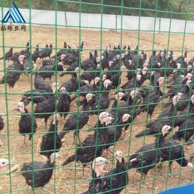 绿色铁丝网 现代农业家禽饲养围栏的优选材料