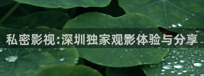 韩国影视剧：私密影视:深圳独家观影体验与分享
