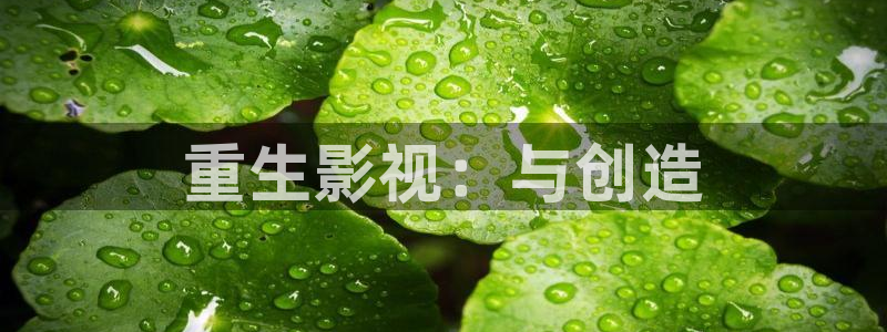 韩国影视大全