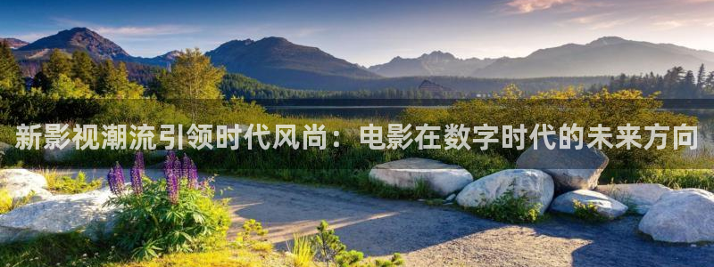 韩国影视推荐