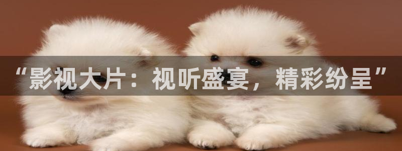 穿梭在韩国影视世界的小说：“影视大片：视听盛宴，精彩纷呈”