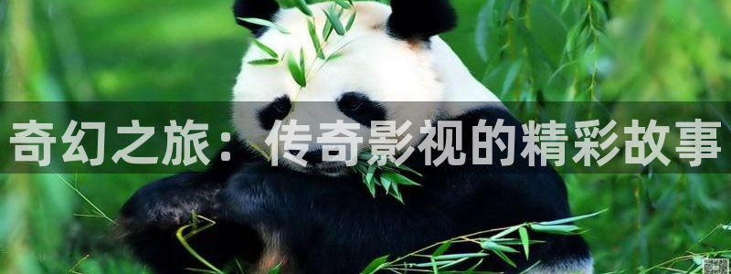 韩国影视在线免费观看：奇幻之旅：传奇影视的精彩故事