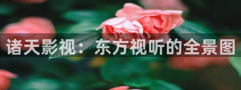 八戒韩国影视：诸天影视：东方视听的全景图