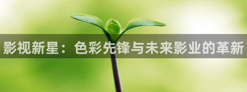 韩国影视免费在线观看：影视新星：色彩先锋与未来影业的革新