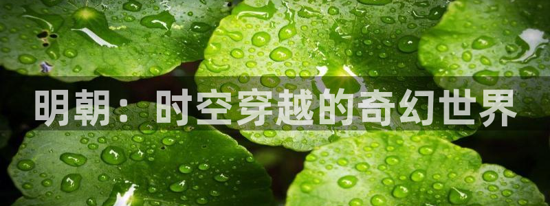 八戒韩国影视：明朝：时空穿越的奇幻世界