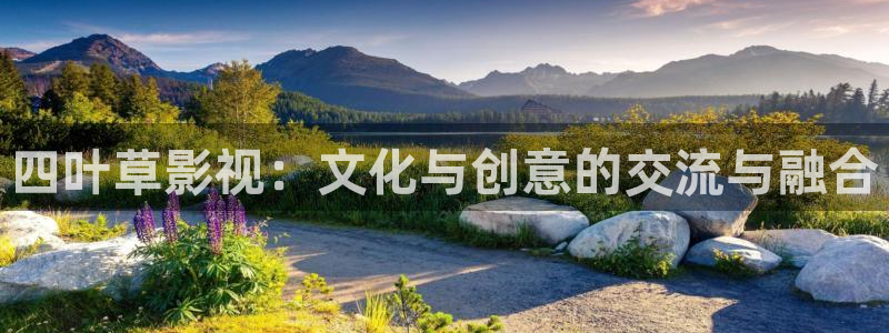 韩国影视大全：四叶草影视：文化与创意的交流与融合