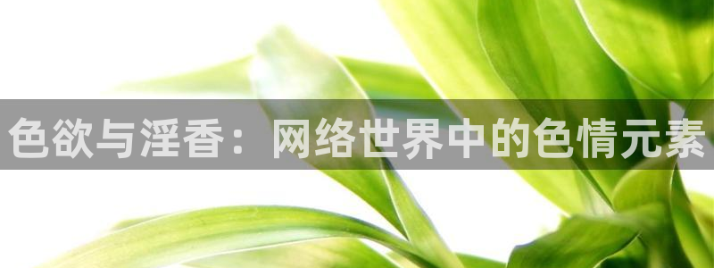 韩国影视推荐：色欲与淫香：网络世界中的色情元素